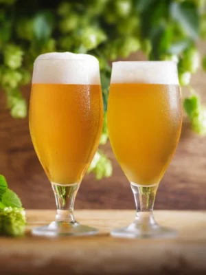 igulu-german-pilsner-beer-brewing-ingredient-kit-1321834