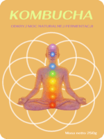 Kombucha - Experimental