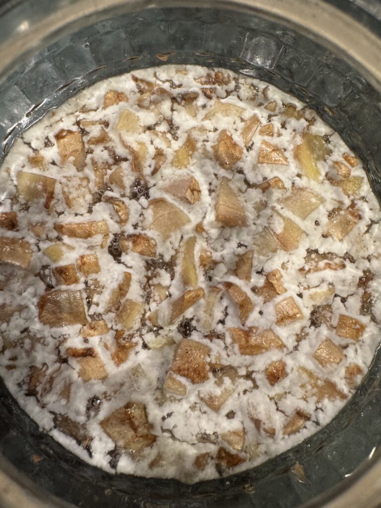 Piwo imbirowe w iGulu (Ginger Beer) - Fermentacja naturalna na ginger bugu