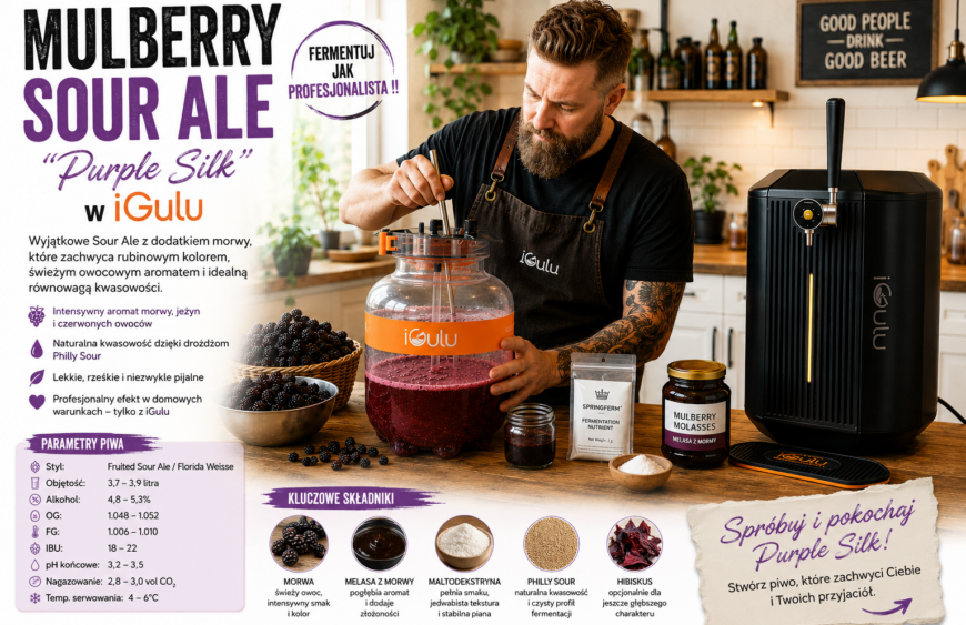 🍺 Mulberry Sour Ale "Purple Silk"