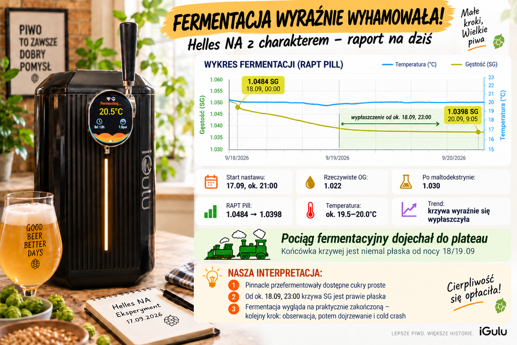Dziennik eksperymentu – jak zachowały się drożdże Pinnacle Low Alcohol?
Po kilku dniach możemy już powiedzieć, że sama fermentacja przebiegła dokładnie w kierunku, którego oczekiwaliśmy. Pinnacle Low Alcohol wystartowały spokojnie, bez gwałtownego „wystrzału”, a następnie wyraźnie przyspieszyły. Krzywa SG zaczęła systematycznie opadać, po czym od mniej więcej nocy z 18 na 19 września praktycznie się wypłaszczyła. To bardzo dobrze pasuje do charakterystyki tych drożdży: fermentują przede wszystkim dostępne cukry proste, a po ich wykorzystaniu dochodzą do naturalnego plateau, pozostawiając w piwie dużą część cięższych cukrów odpowiedzialnych za pełnię i ciało.